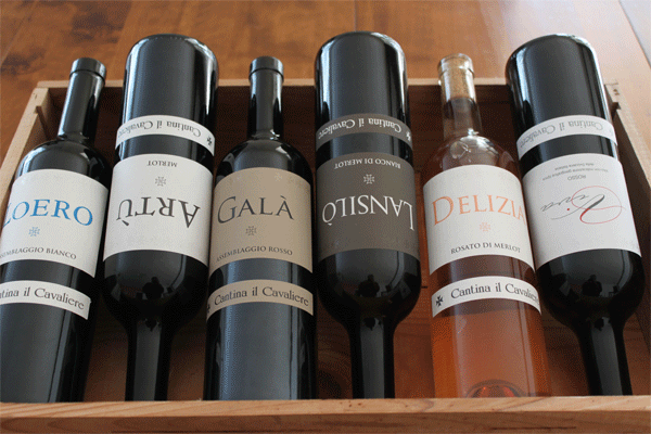 Carton dégustation d'automne: un bel assortiment de vins du Tessin de la Cantina Il Cavaliere